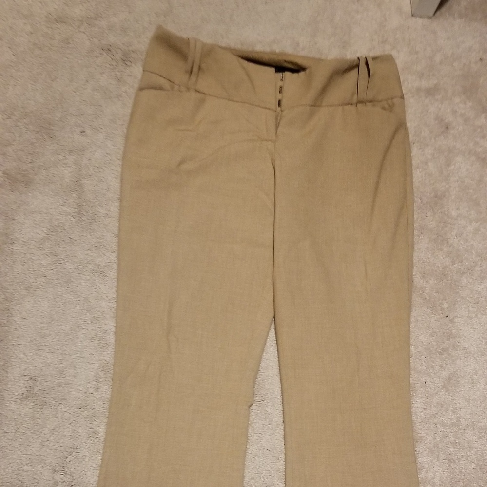 Dress pants